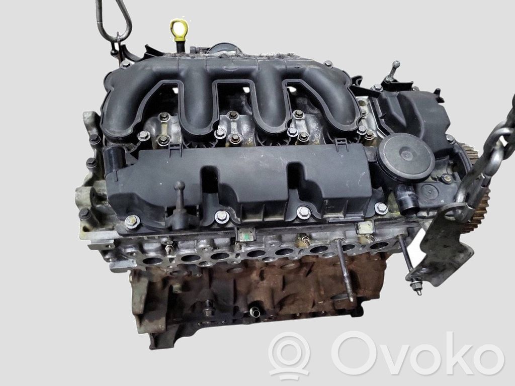 Motor   G6DG