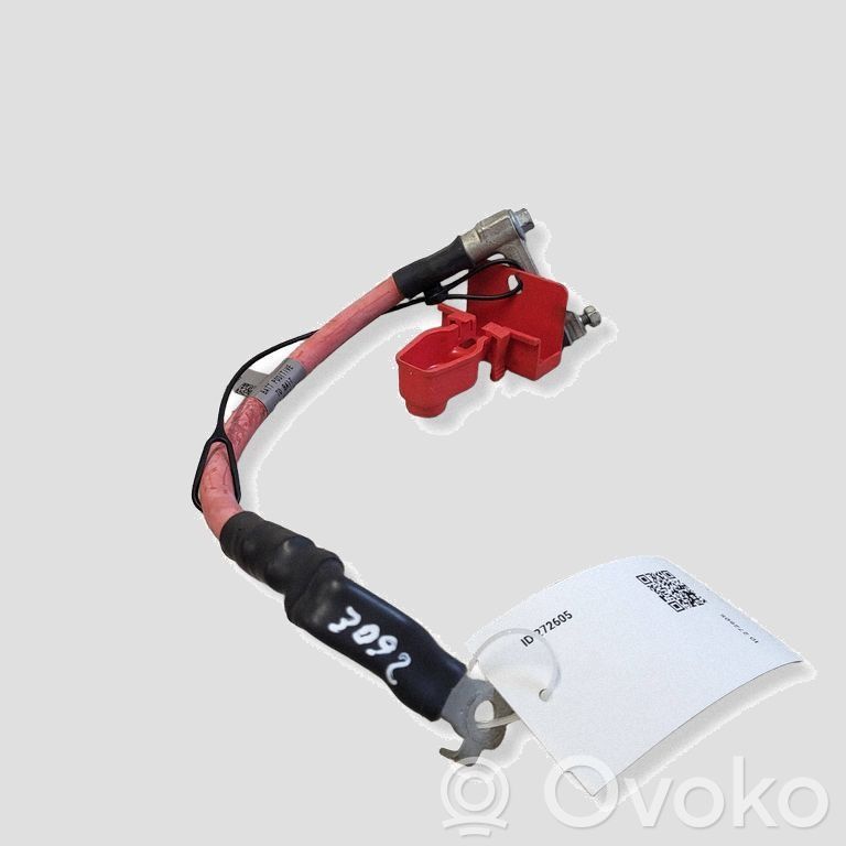 Jaguar F-Pace Cavo positivo (batteria)