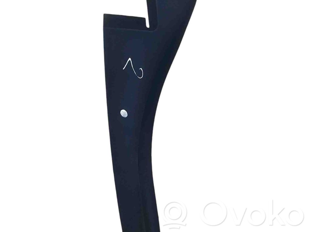 Moldura del limpia   668110012R