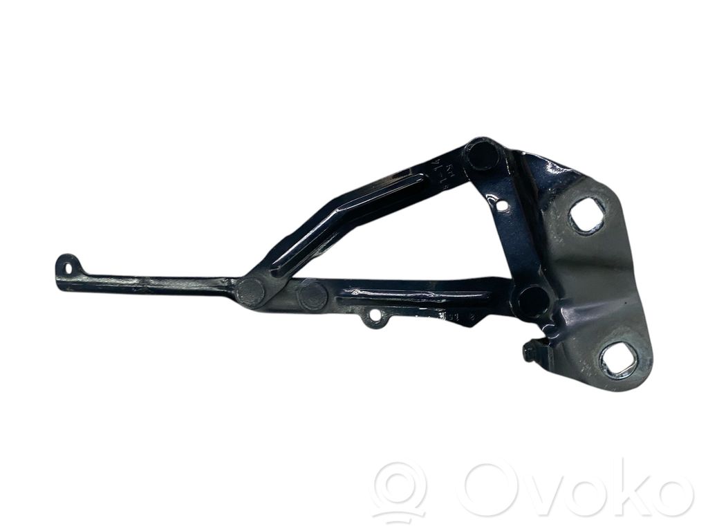Engine bonnet/hood hinges   BK2116800AC
