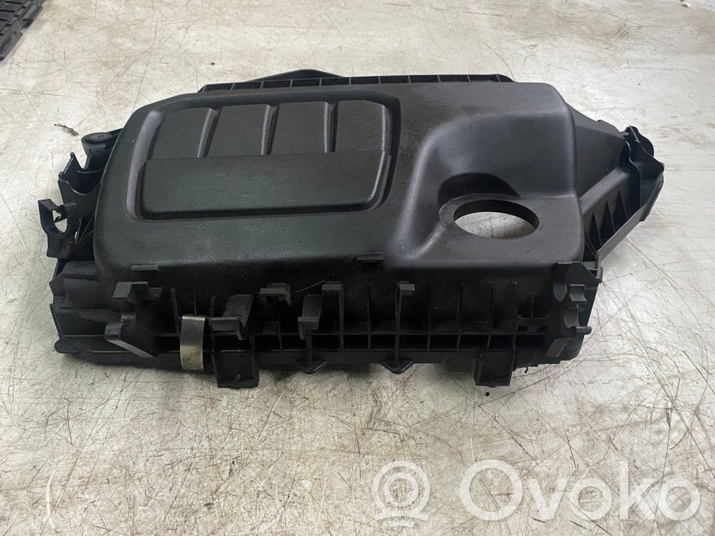 Engine cover (trim)   100710PS