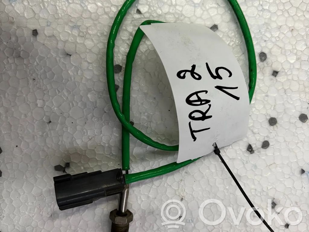 Ford Transit Izplūdes gāzu temperatūras sensors 