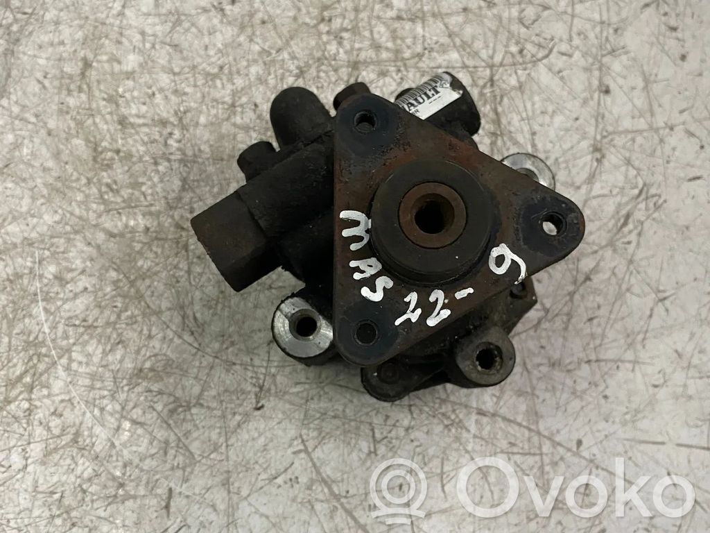Ohjaustehostimen pumppu   491109718R