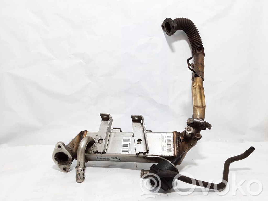 Renault Master III Valvola di raffreddamento EGR 