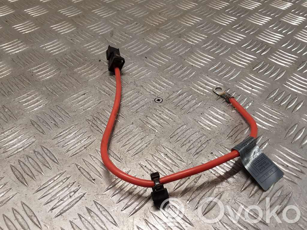 Plusa vads (akumulatora)   6929715
