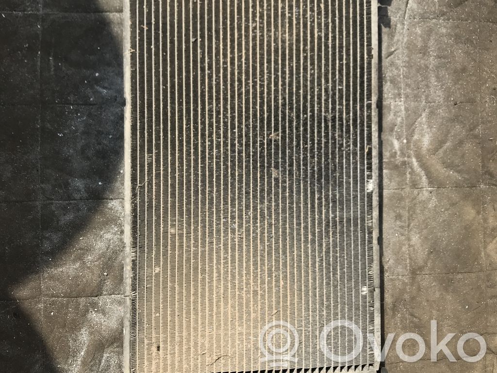 Ford Focus Aušinimo skysčio radiatorius 