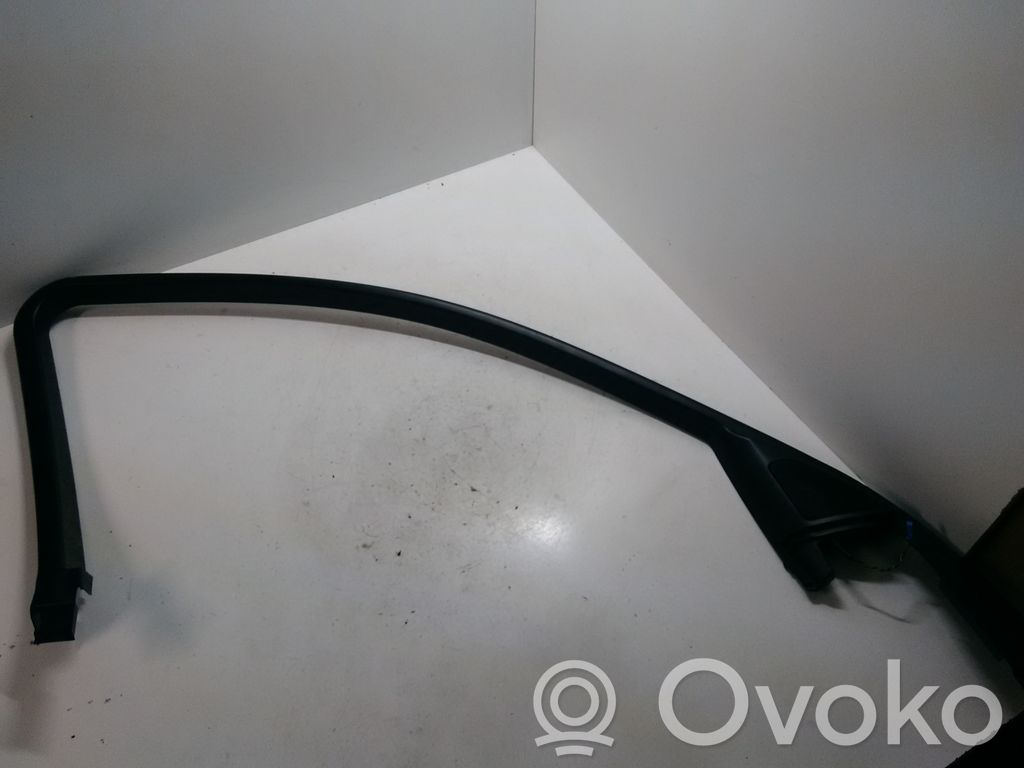 Other front door trim element   8223819,6901317
