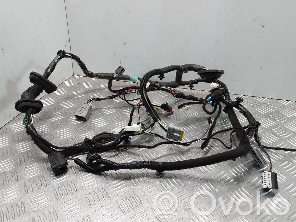 Tesla Model S Cableado de puerta delantera 