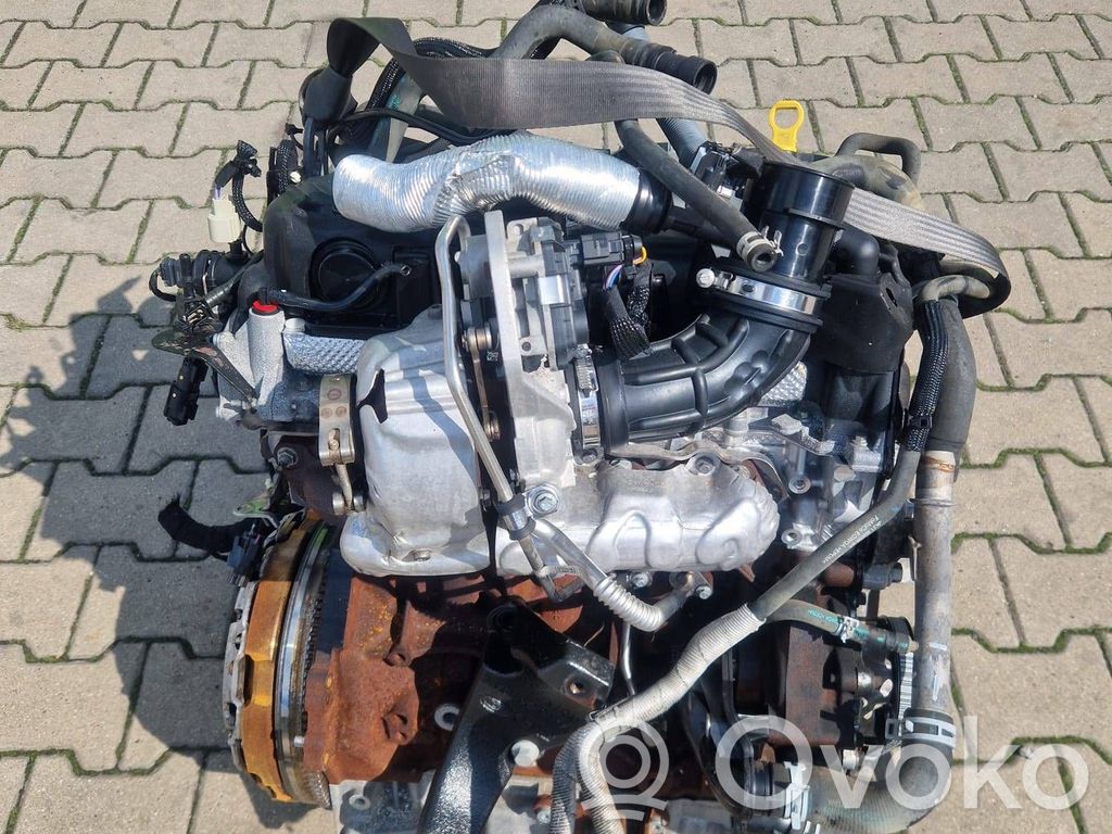 Austauschmotor   YLF6