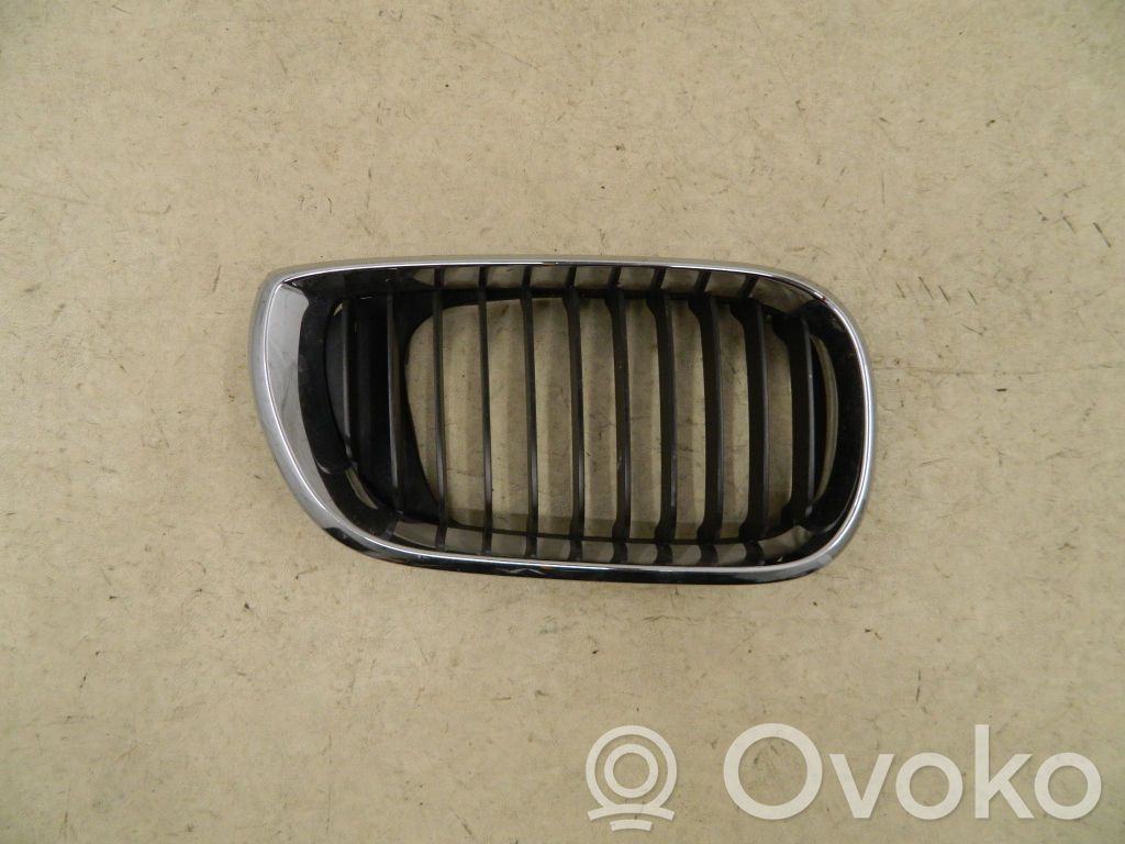 BMW 3 E46 Front grill 