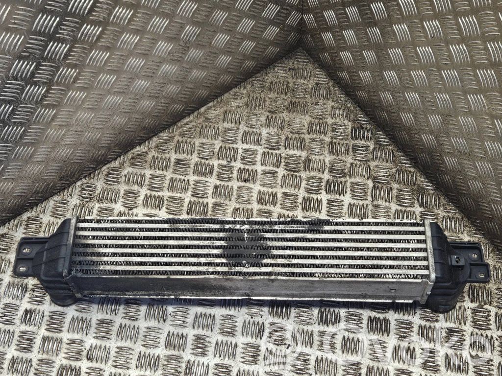 Opel Antara Interkūlerio radiatorius 