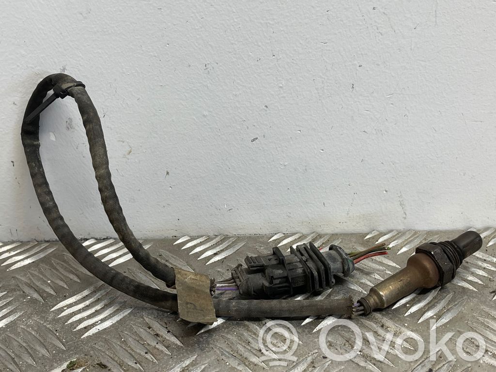 Sonda lambda   55560617