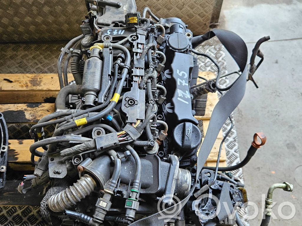Motor   DV6TED4
