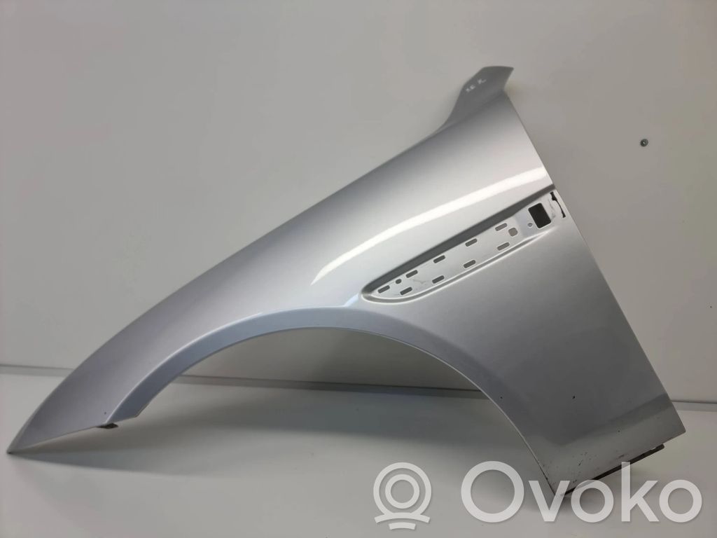 Jaguar XE Guardabarro 