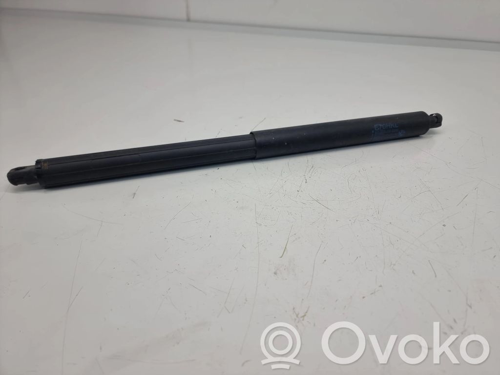 BMW X5 E70 Tailgate/trunk strut/damper 