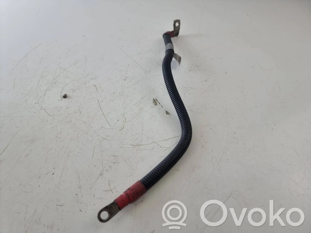 BMW X5 E70 Pliusinis laidas (akumuliatoriaus) 