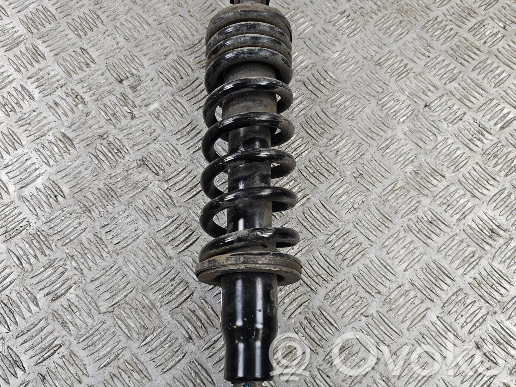 Stoßdämpfer hinten   6020016281