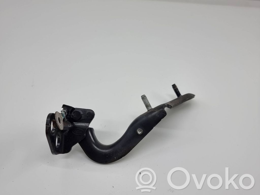 Tailgate/trunk/boot hinge   DPLA42900A