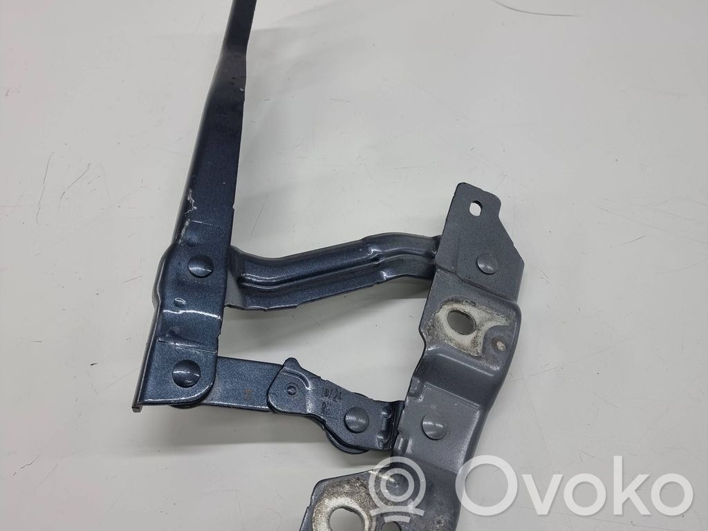 Cupra Formentor Engine bonnet/hood hinges 