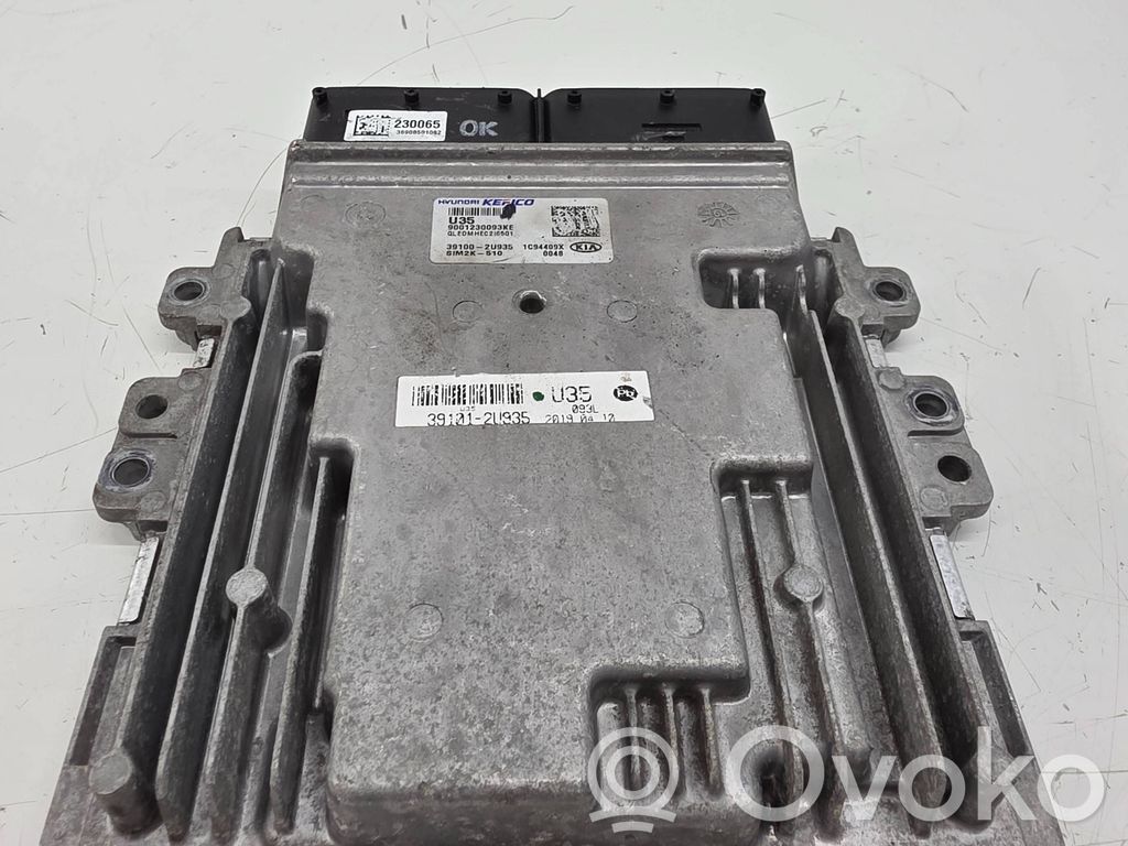 KIA Sportage Engine control unit/module 