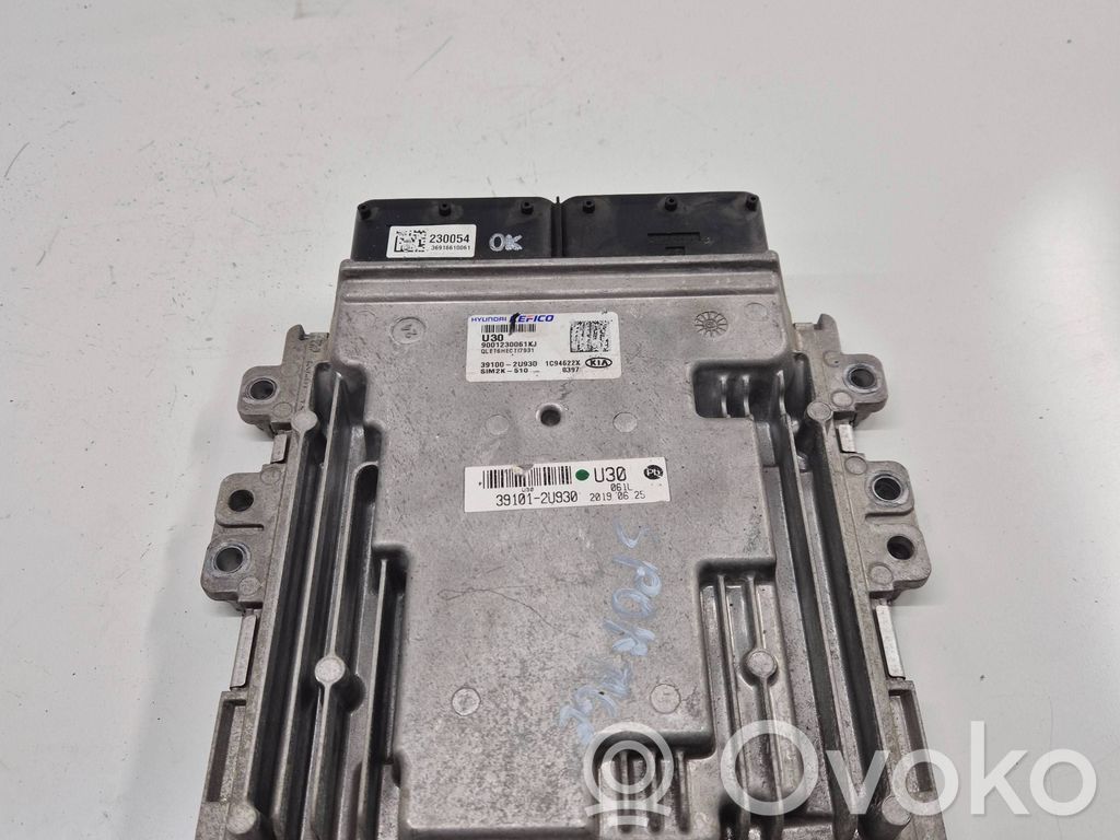 KIA Sportage Engine control unit/module 