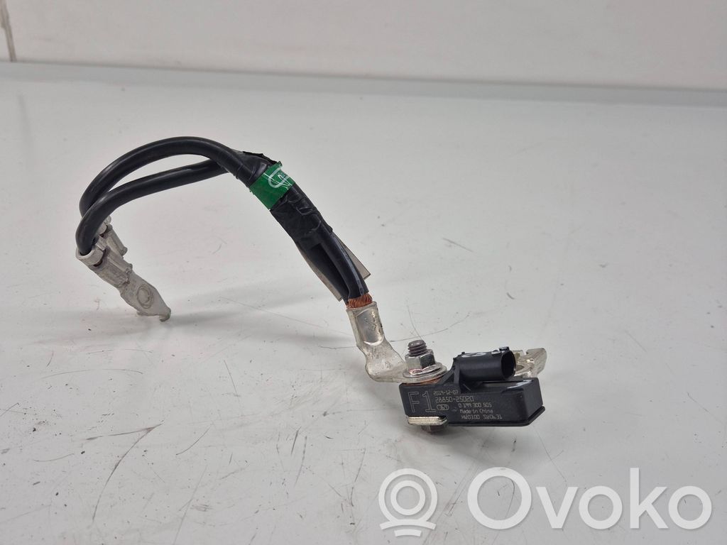 Toyota RAV 4 (XA50) Cable negativo de tierra (batería) 