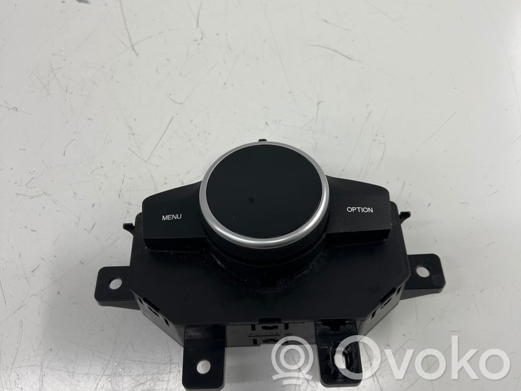Head unit multimedia control   156130405,155130442