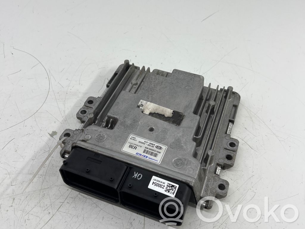 Engine control unit/module   391002U930