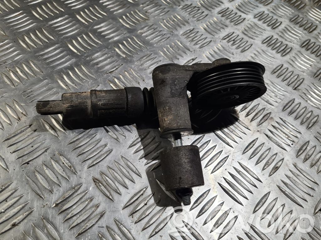 Audi A4 S4 B6 8E 8H Tensor de la correa del alternador 