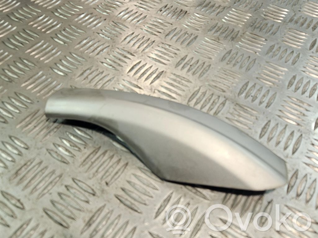 Renault Laguna II Dachrelingabdeckung 