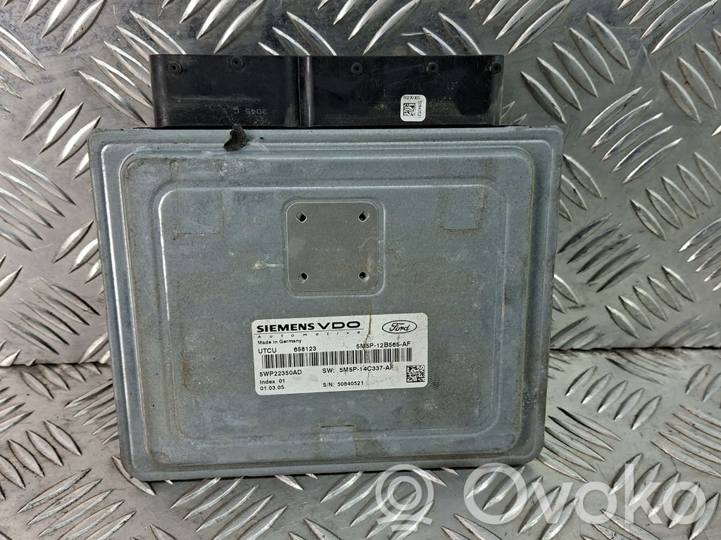 Ford Focus Galios (ECU) modulis 