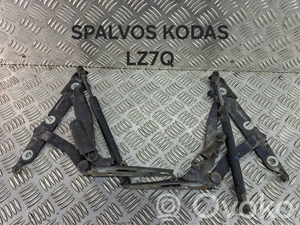 Tailgate/trunk/boot hinge   4F5827301