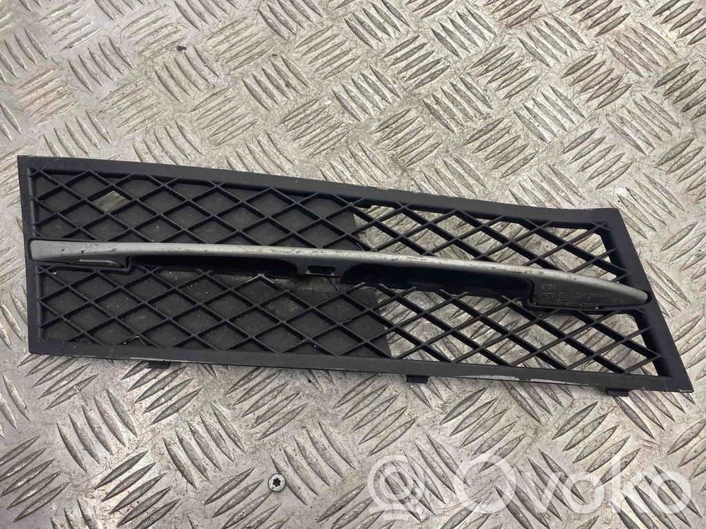 BMW 5 F10 F11 Front bumper lower grill 