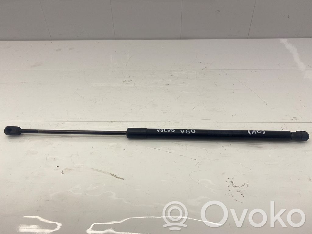 Tailgate strut   0073590445N
