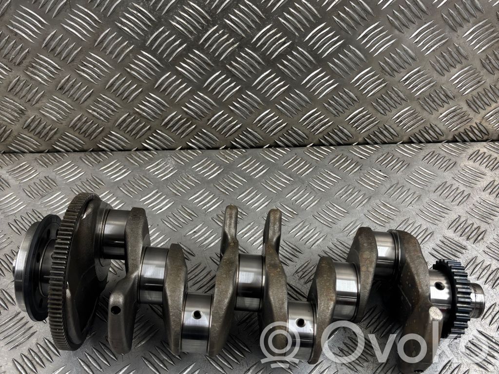 Audi A4 S4 B9 8W Alkūninis velenas 