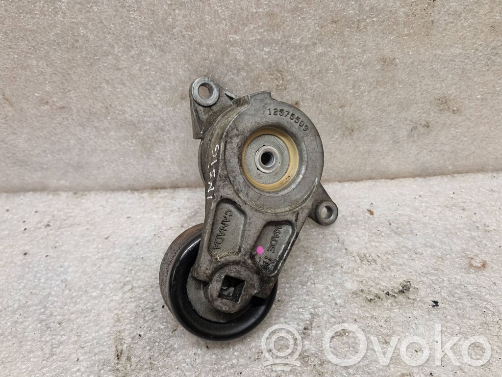 Opel Insignia A Napinacz paska alternatora 