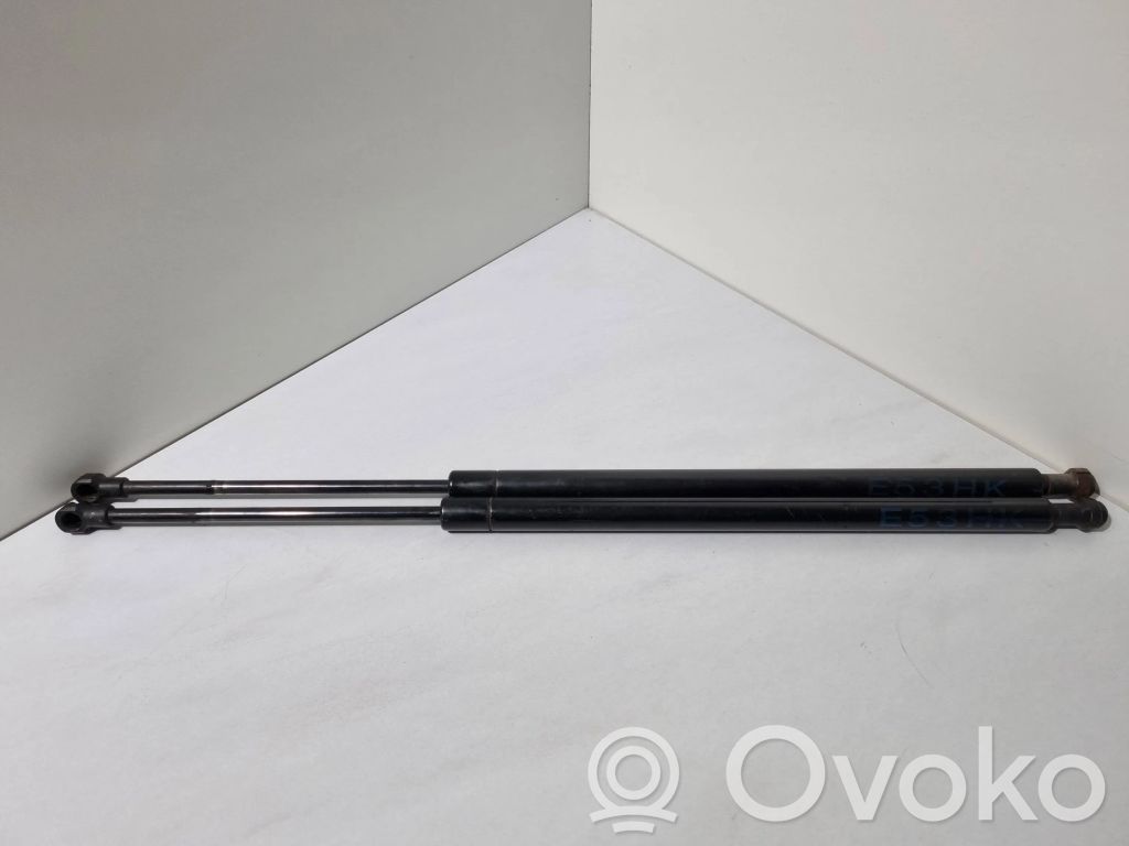 BMW X5 E53 Tailgate/trunk strut/damper 