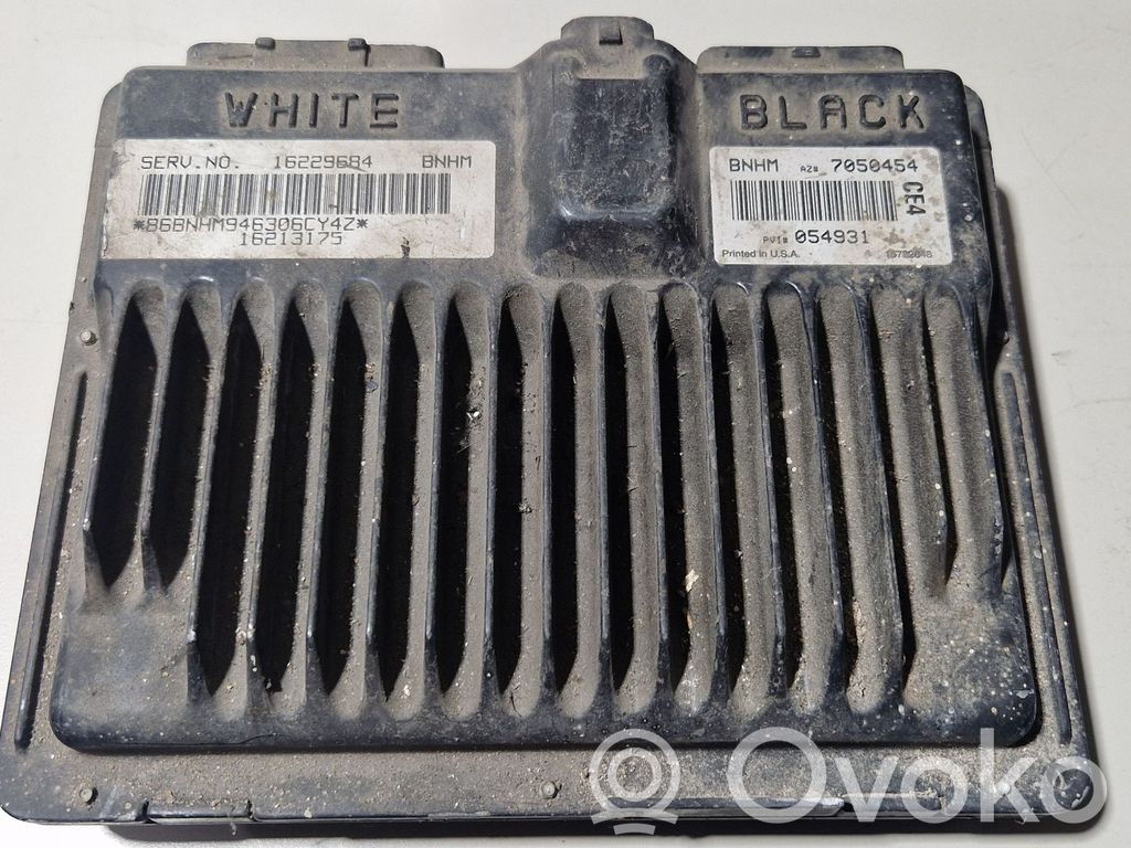 Chevrolet Astro Engine control unit/module 