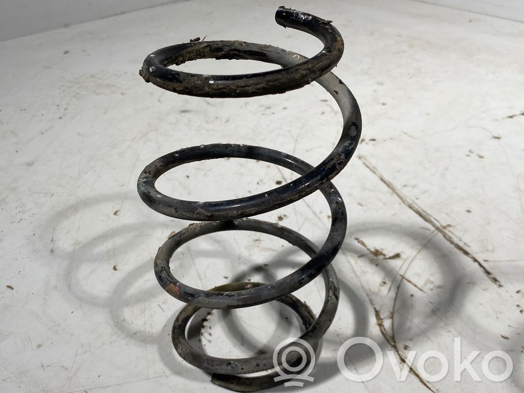 Rear coil spring