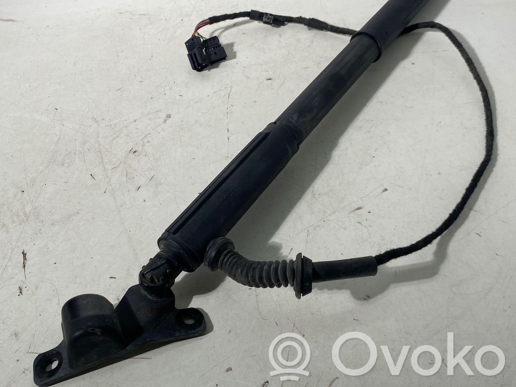 Tailgate/trunk strut/damper   7286115,645454,15082011
