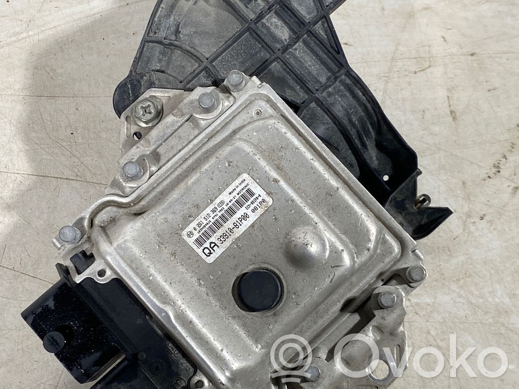 Engine control unit/module   0261S12369,3391081P00,FCM081000