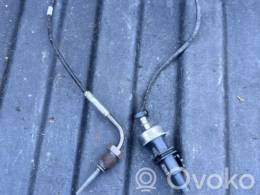 Abgastemperatursensor   95B919529,DTCHE1