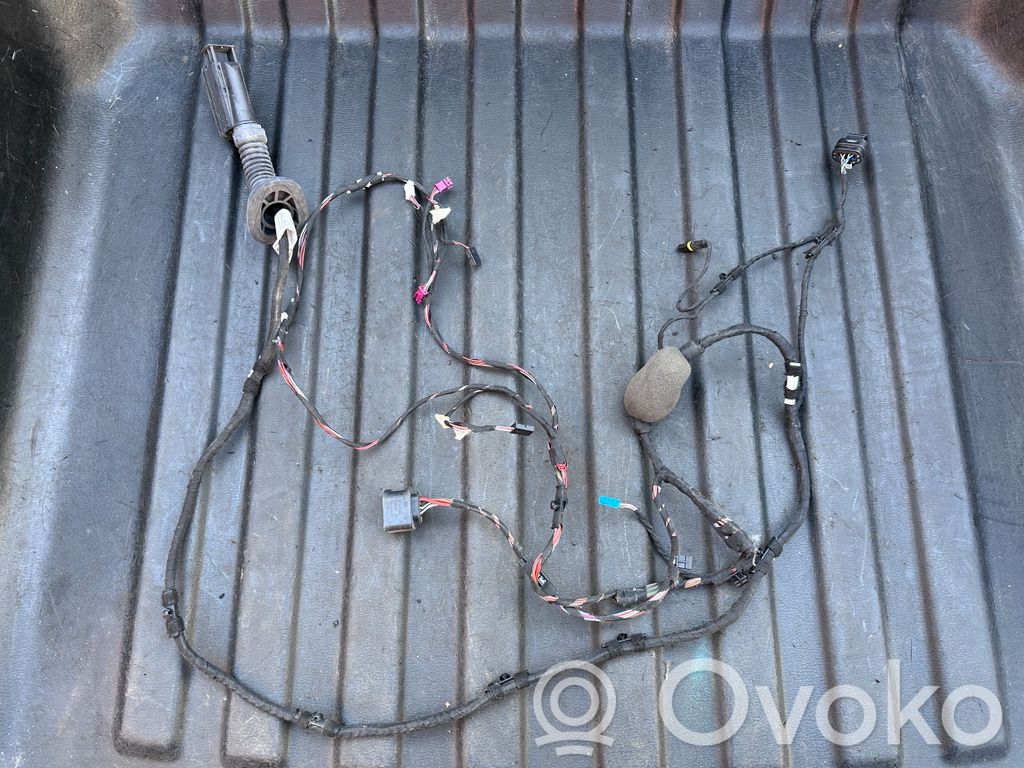 BMW X3 G01 Cableado de puerta trasera 