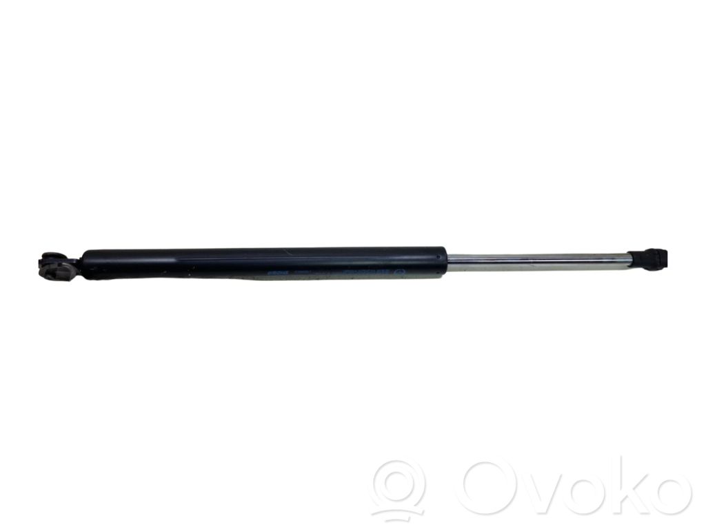Tailgate/trunk strut/damper   KD53,17B08AC2