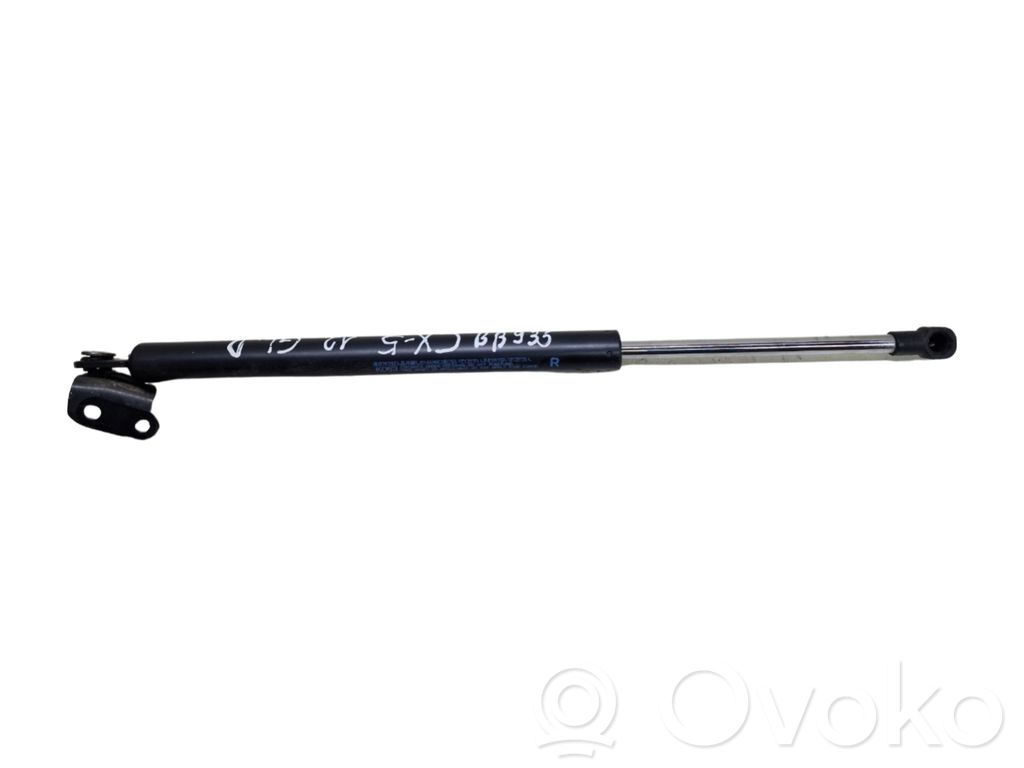 Tailgate/trunk strut/damper   KD53,17B06AB2