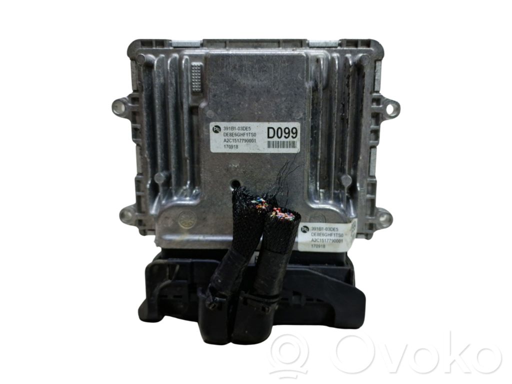 Engine control unit/module   391B103DE5,391A503DE5