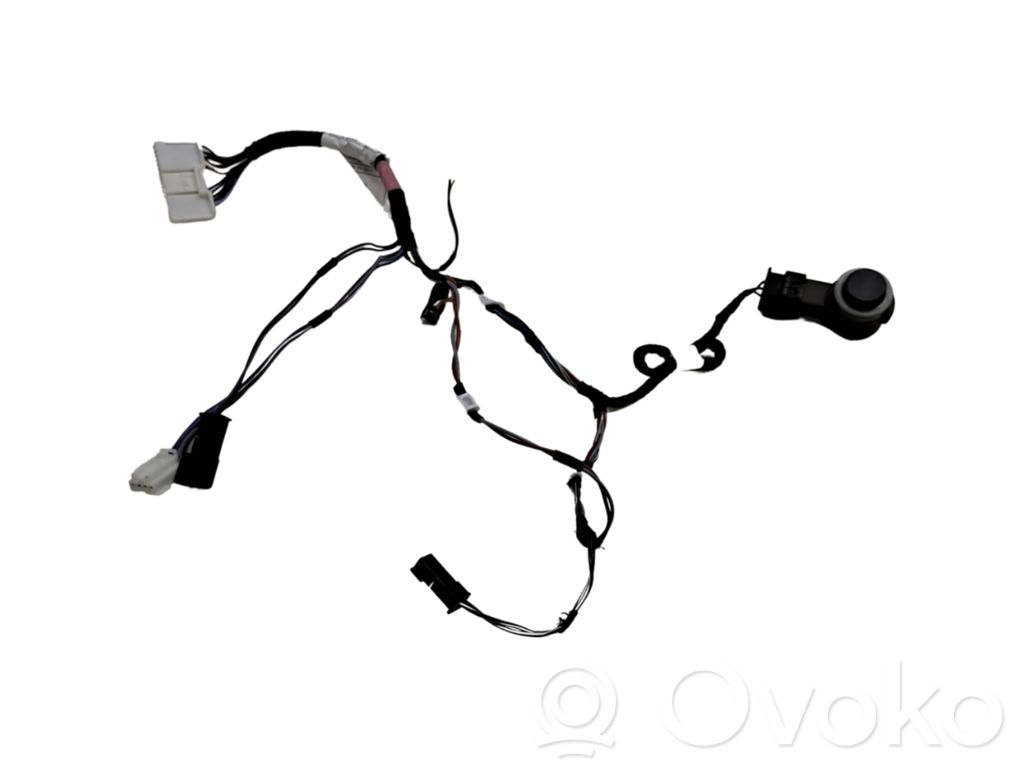 Sensor de la puerta trasera   109961100B,103820500G