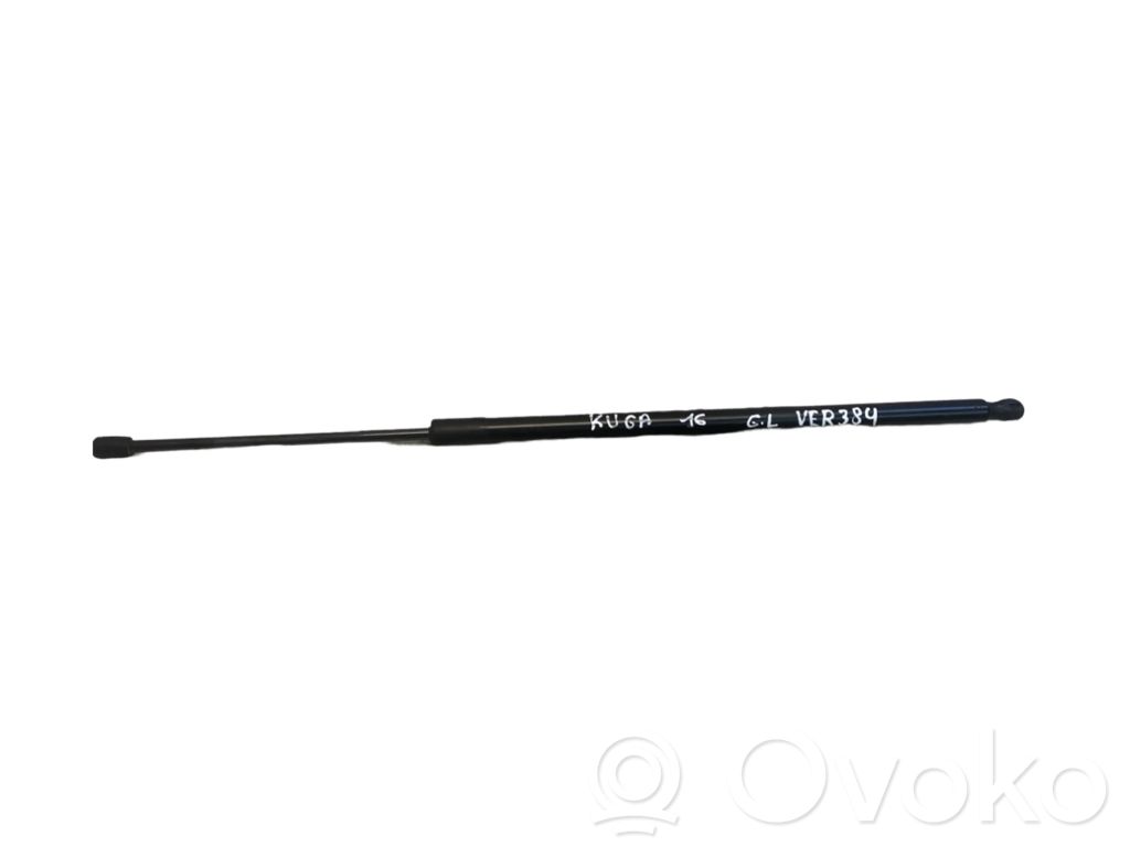 Ford Kuga II Tailgate/trunk strut/damper 