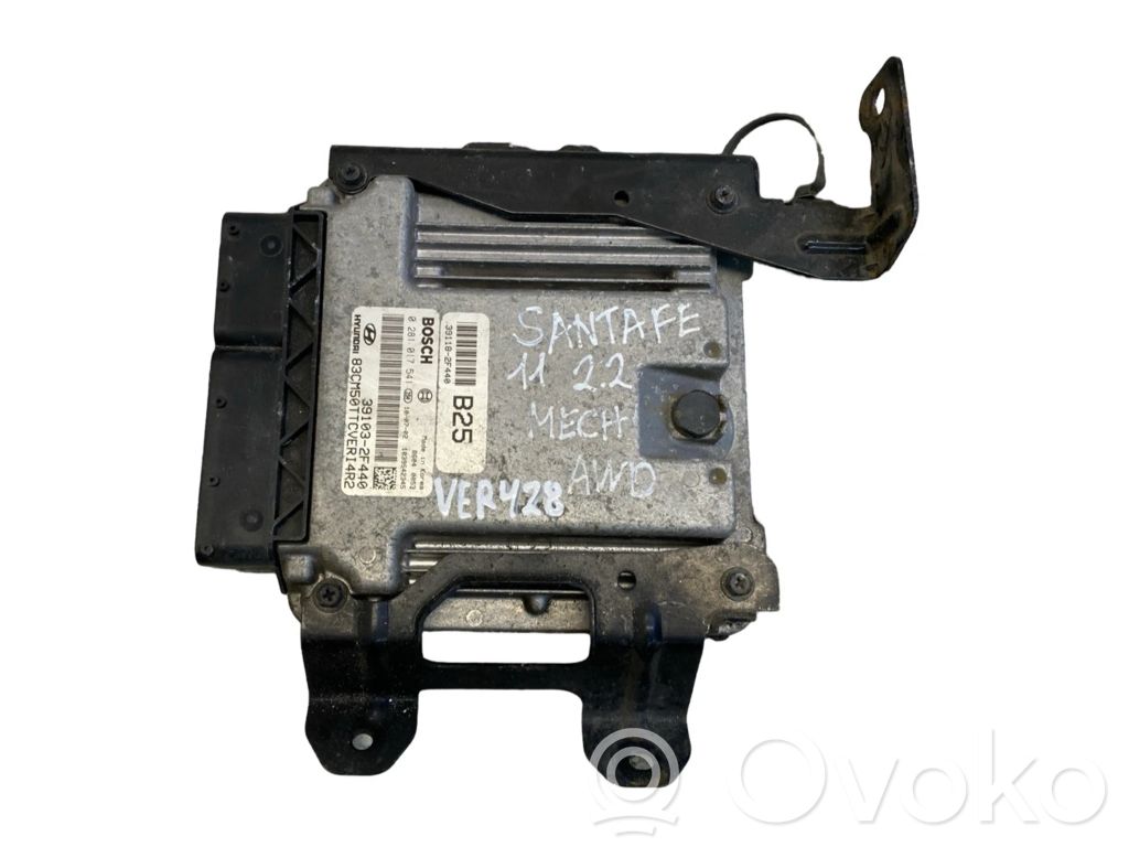 Hyundai Santa Fe Engine control unit/module 