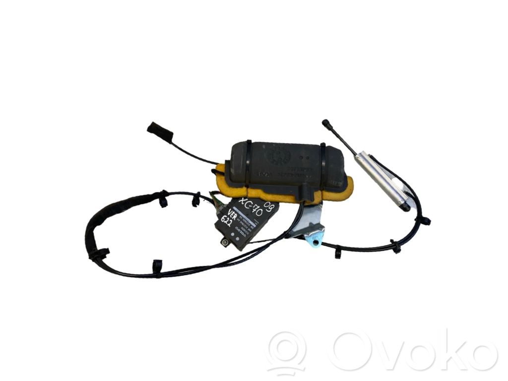 Tailgate hydraulic set   30716759,31218393,31218393